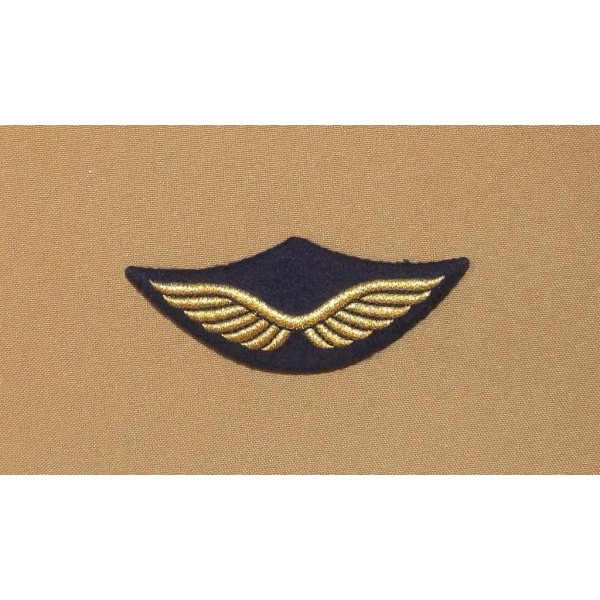 Macaron de Casquette Armée de l'air
