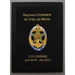 Régiment d'Infanterie de Chars de Marine