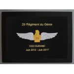 25 Régiment du Génie de l'Air