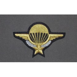 Ecusson Para Doré (vendu par 2)