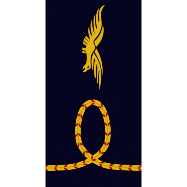 Fourreaux Elève Officier Armée de l'Air