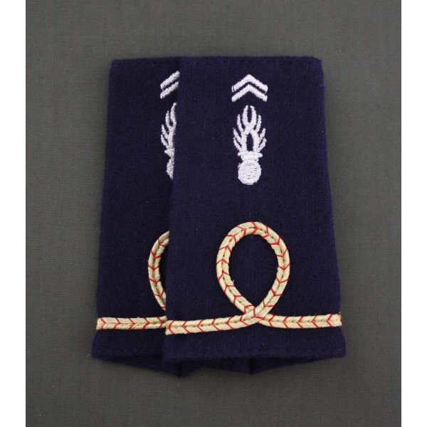 Élevé Officier