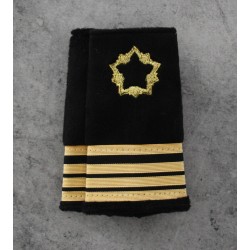 Fourreaux Ingénieur Infrastructure de la Défense Ingénieur principal