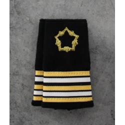 Fourreaux Ingénieur Infrastructure de la Défense Ingénieur en chef de 2ème classe