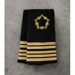 Fourreaux Ingénieur Infrastructure de la Défense Ingénieur en chef de 1ère classe