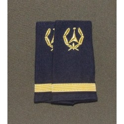 Fourreaux Ingénieur de l'Armement Sous-lieutenant Ingénieur 1er Echelon