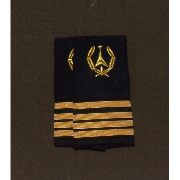 Ingénieur Principal