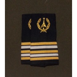 Fourreaux Ingénieur de l'Armement Lieutenant-colonel Ingénieur en Chef (Ayant moins de 2 ans de grade)