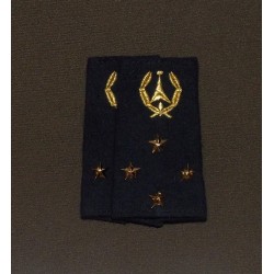 Fourreaux Ingénieur de l'Armement Ingénieur Général de 1ére Classe (3 Etoiles)