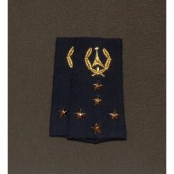 Fourreaux Ingénieur de l'Armement Ingénieur Général de Classe Exceptionnelle (5 Etoiles)