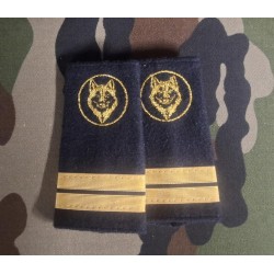 Fourreaux Lieutenant de Louveterie (à la paire)