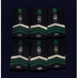 Lot de Fourreaux Légion Cavalerie Brigadier-chef 10 ans d'ancienneté (20 paires)