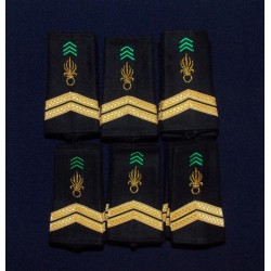 Lot de Fourreaux Légion Infanterie Sergent (20 paires)