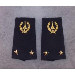 Fourreaux Ingénieur des Etudes Technique de l'Armement  Ingénieur Général de Deuxième Classe (2 Etoiles)