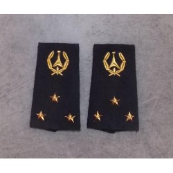 Fourreaux Ingénieur des Etudes Technique de l'Armement  Ingénieur Général de Première Classe (3 Etoiles)