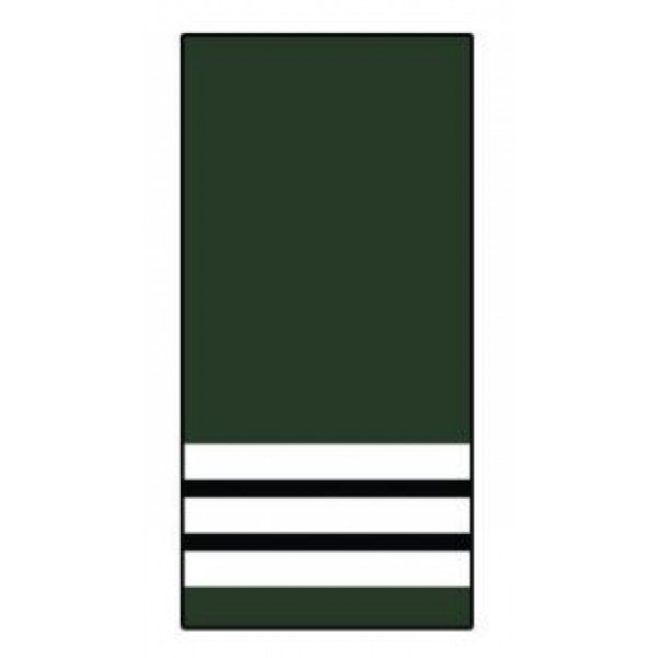 Corps des Ingénieurs du Génie Rural des Eaux et des Forêts (Avec grades de Général)