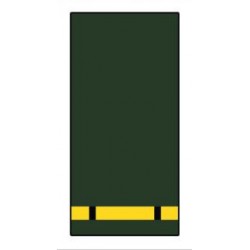 Corps des Technicien Supérieurs Forestiers