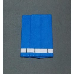 Fourreaux Police Municipale Chef de service Stagiaire