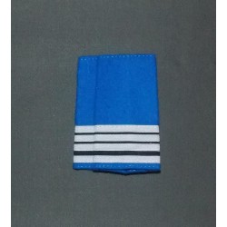 Fourreaux Police Municipale Directeur