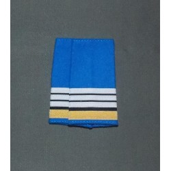 Fourreaux Police Municipale Directeur Stagiaire