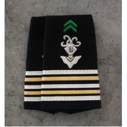 Fourreaux Arme Blindée Chasseurs Métropolitains Brodé Main Tout Grade