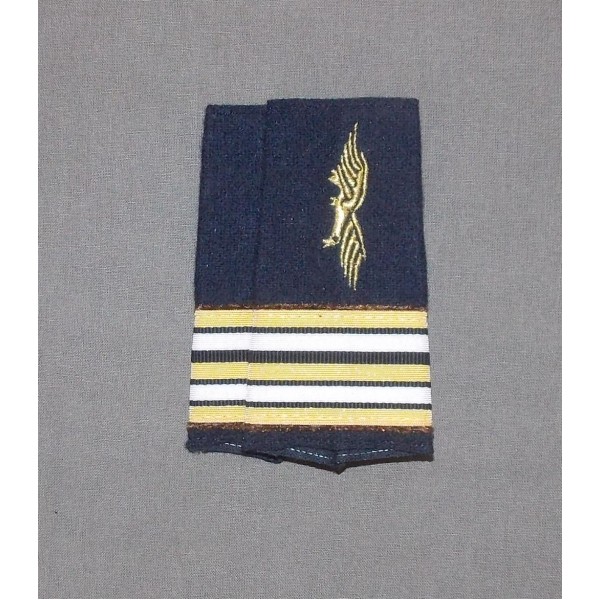 Fourreaux Armée de l'Air Commissaire Lieutenant-colonel  