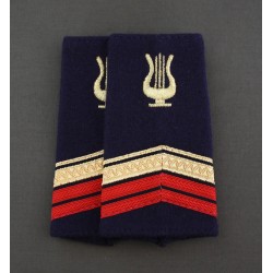 Fourreaux Formation Musicale Tout Grade