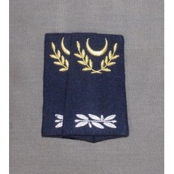 Fourreaux Aumônier Militaire Musulman de Réserve 