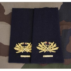 Fourreaux Médecin Chef des Services Hors Classe brodé main