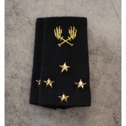 Fourreaux Ingénieur Général Hors Classe (SEO)