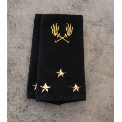 Fourreaux Général de Division ou Ingénieur Général de 1ère Classe (SEO)