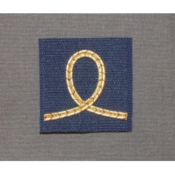 Galon de poitrine Elève officier (à la paire)