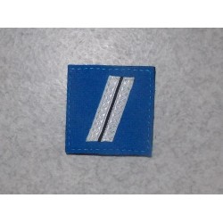 Galon de Poitrine Police Municipale Gardien Titulaire (vendu par 2)