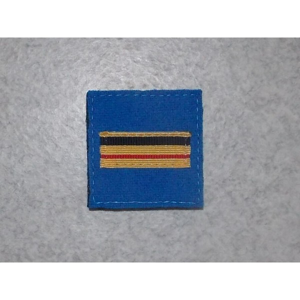 Galon de Poitrine Police Municipale Brigadier-chef Principal (vendu par 2)