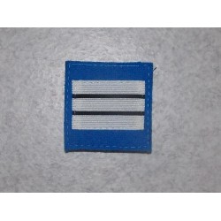  Galon de Poitrine Police Municipale Chef de Service Classe Exceptionnelle (vendu par 2)