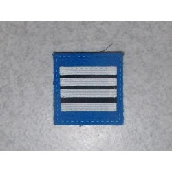 Galon de Poitrine Police Municipale Directeur (vendu par 2)