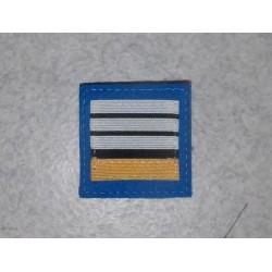  Galon de Poitrine Police Municipale Directeur Stagiaire  (vendu par 2)