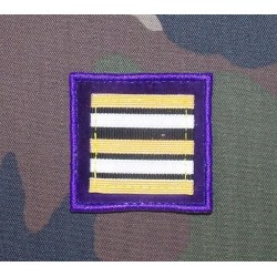 Lieutenant-colonel (à la paire)