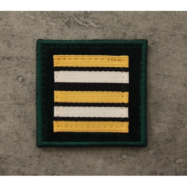 Lieutenant-colonel (Hors Classe ) vendu par deux