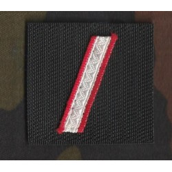 Galon de poitrine Pompiers (vendu par deux)