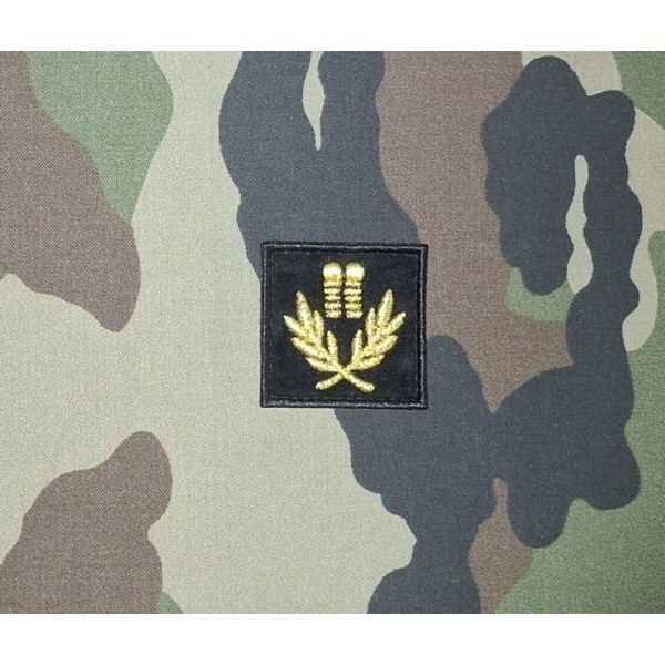 Galon de Poitrine Culte Israélite