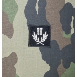 Galon de Poitrine Culte Israélite Sapeurs Pompiers