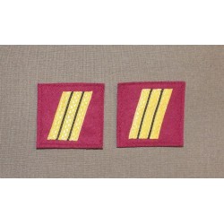 Galon de poitrine Service de Santé (vendu à la Paire)