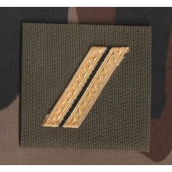 Galon de poitrine arme jaune (vendu  par deux)