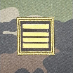 Galon Commandant Pénitenciaire