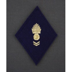 Losange CTA-CAT (VENDU PAR 2) Losange CTA-CAT (VENDU PAR 2)