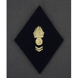 Losange CTA,Transmissions,Génie,GSEM (VENDU PAR 2) Losange CTA,Transmissions,Génie,GSEM (VENDU PAR 2)