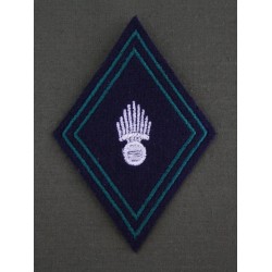 Losanges Chars de Combat Sous-officiers / Officiers (VENDU PAR 2)