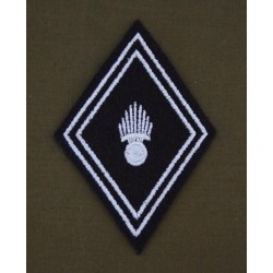 Losange Régiment de Hussards Troupes (VENDU PAR 2)