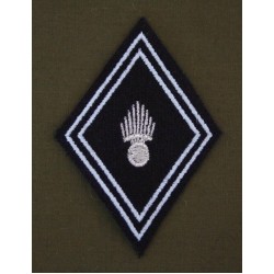 Losange  Régiment de Hussards Sous-officiers / officiers (VENDU PAR 2)
